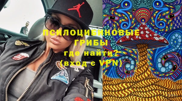 хмурый Алзамай