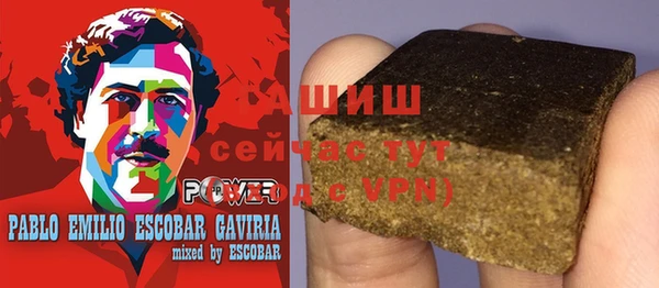 хмурый Алзамай