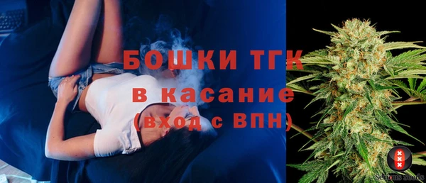амф Краснослободск