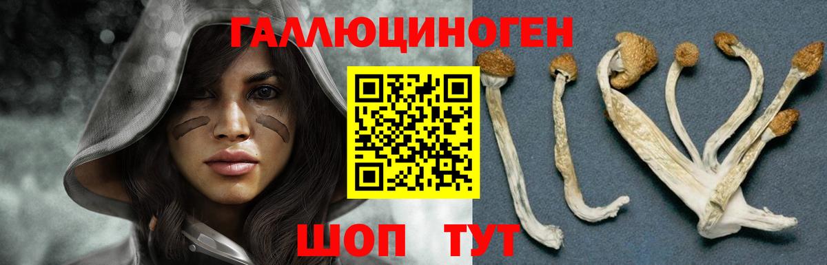 Галлюциногенные грибы MAGIC MUSHROOMS Октябрьский